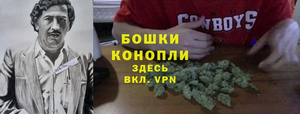 PSILOCYBIN Абинск