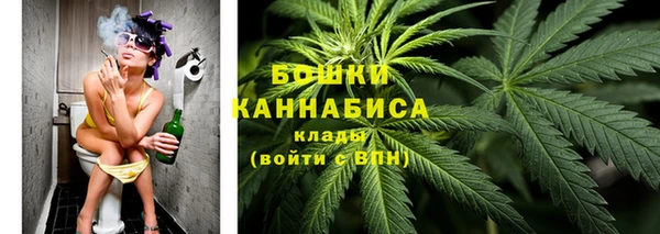 сатива Ижевск