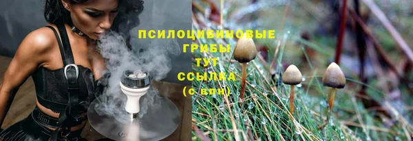 крисы Красноперекопск