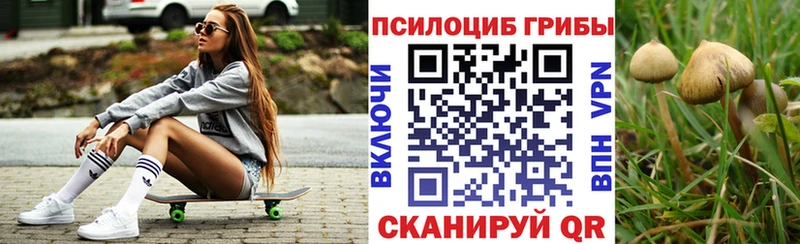 Псилоцибиновые грибы Magic Shrooms  Шлиссельбург 