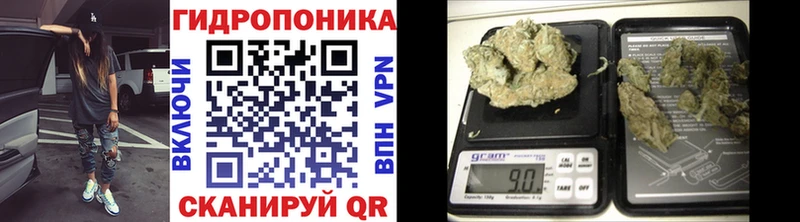 хочу наркоту  Шлиссельбург  Канабис ГИДРОПОН 